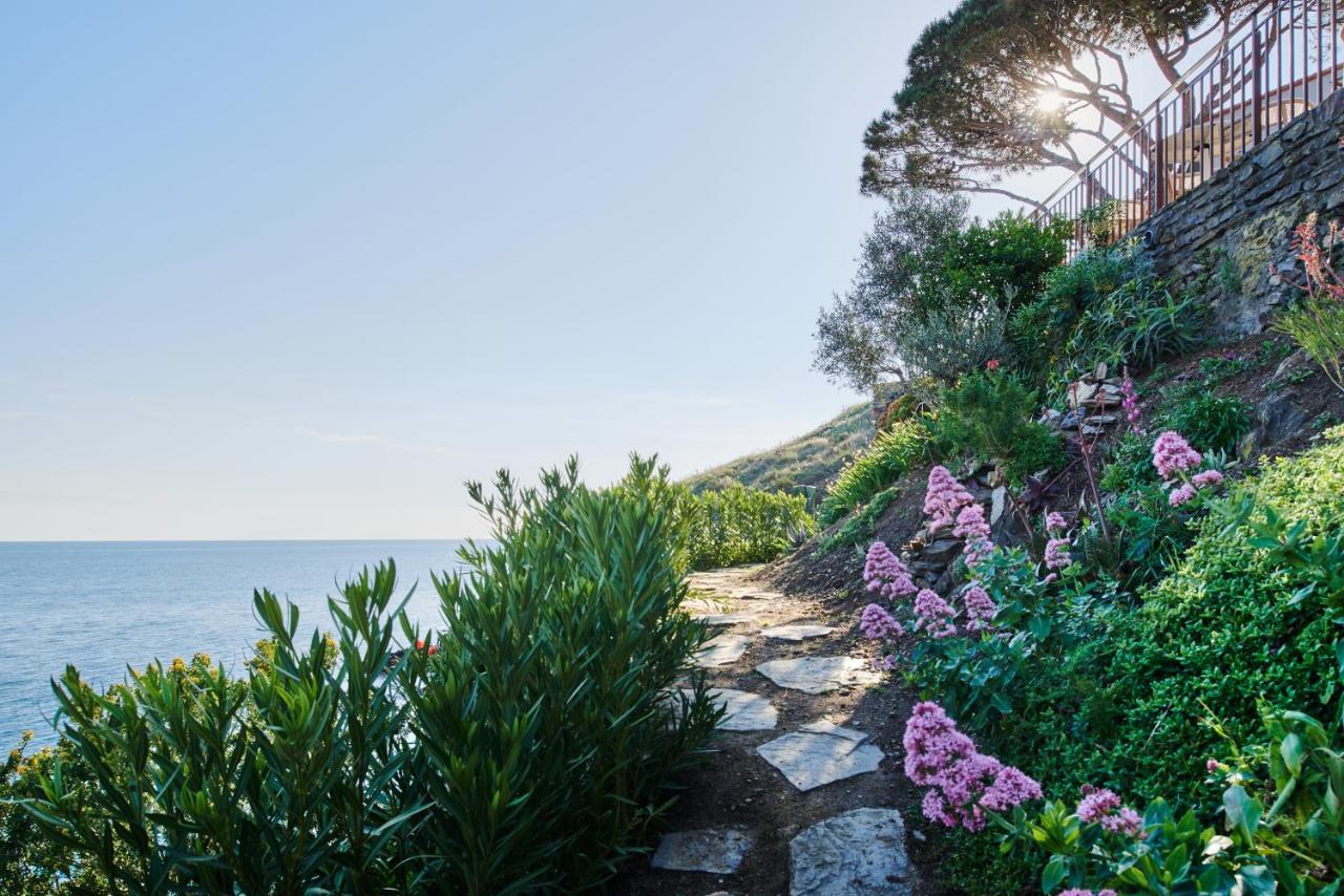 Hotel Les Roches Brunes Collioure Zewnętrze zdjęcie